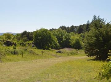 Terreno , Santa Rosa de Calamuchita · 8 Hectáreas con Servicio. Apto Loteo. Santa Monica Calamuchita.