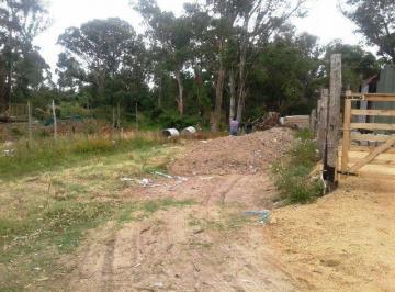 BPV-BPV-3595_2 · Lote | Calle 25