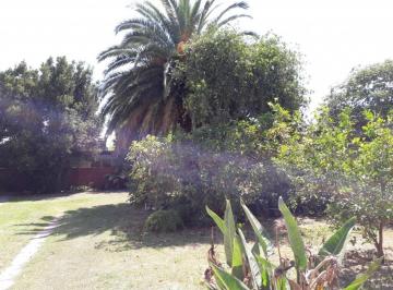 Terreno , Almirante Brown · Amplio Lote Libre, Federico Silva 618