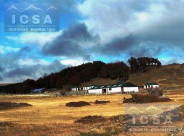 Campo · 1700ha · 5 Ambientes · 4 Cocheras · Campo - Tucu Tucu
