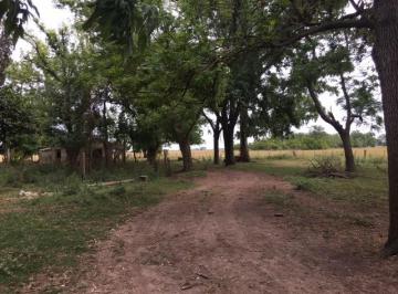 Campo , Cañuelas · Campo de 90 Ha, Sobre Ruta Provincial 16