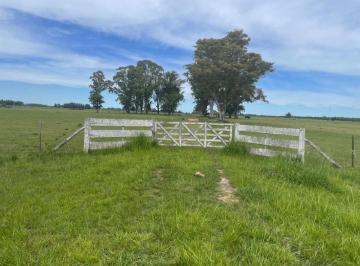 Terreno · 2m² · 3 Ambientes · 44 Ha en Las Flores