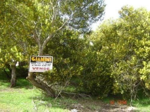 Terreno · 275m²