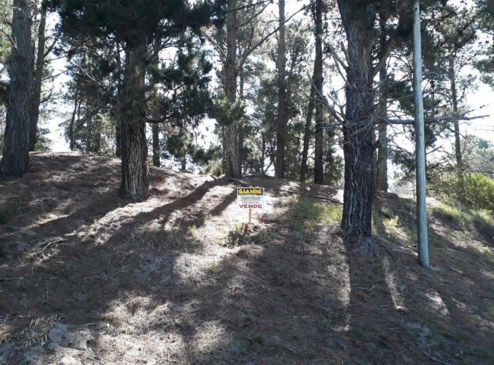 Terreno · 450m²