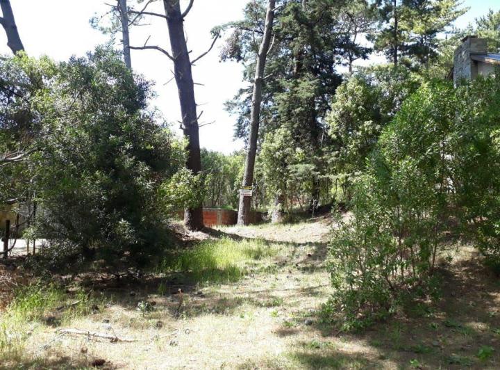 Terreno · 675m²