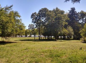 HOG-HOG-368_2 · Venta Lote Apto Comercial Sobre Rn8 - a Pasos de San A. de Areco