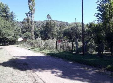 MUN-MUN-411_2 · Lote | Entrada A13
