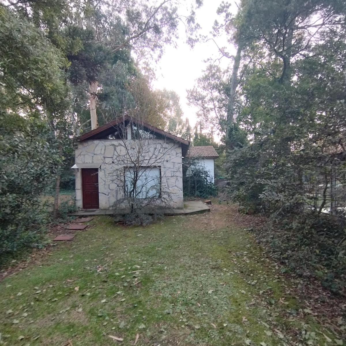 Bº bosque de peralta ramos. lote de 15X30. dos casas en excelente estado de tres ambientes- parque.