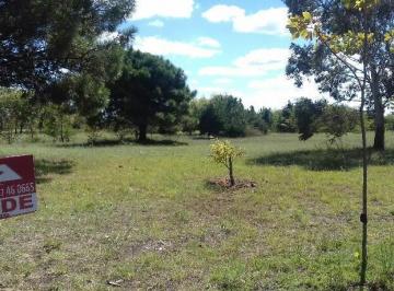 DIT-DIT-4607_2 · Lote. | Jujuy