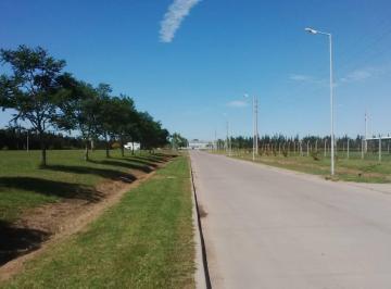 Terreno · 1m² · Parque "Pyme" Industrial Parana de Las Palmas (Zarate)