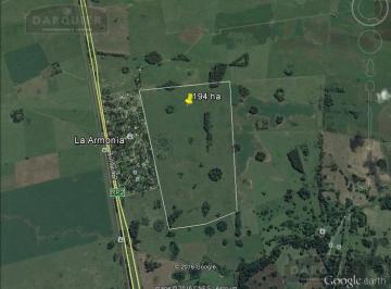 Campo · Campo - Mar del Plata