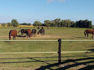 Campo · 7ha · 1 Ambiente · Casa de Campo Haras 7 Hectáreas Cerca de San Pedro
