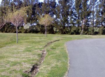 GNP-GNP-410_2 · (Propiedad Suspendida) Lote en Venta en Haras del Sur II