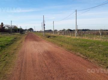 Campo · 14400m² · 1 Ambiente · Venta Terreno, Una Hectarea y Media. Colonia Estrella