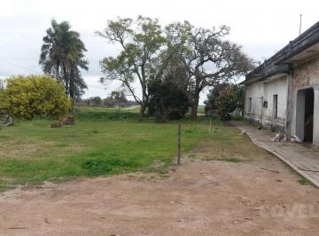 Campo · 300m² · 13 Ambientes · 1 Cochera · Oportunidad Única 7 Há en El Departamento de Colonia.