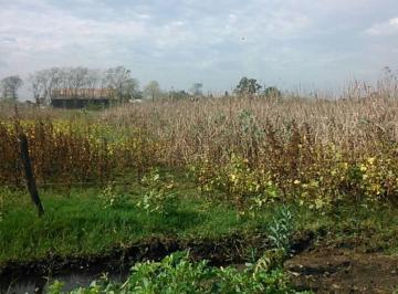 Terreno , Chascomús · Chascomus: Importante Lote en Zona Urbanizada