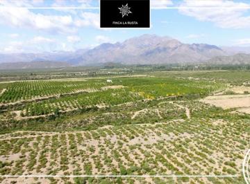 Campo · 220m² · 1 Ambiente · La Rioja Finca 300has - Apta Viñedos y Nogales