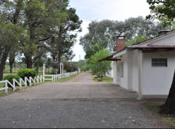 Campo de 5 ambientes, General Rodríguez · Chacra en Venta en Gral Rodriguez