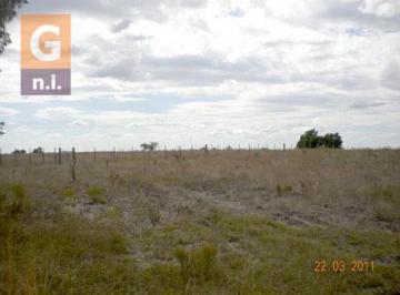 Campos y Fracciones en Canelones (Los Cerrillos) · Campos y Fracciones en Canelones (Los Cerrillos)
