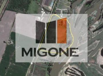MIG-MIG-2979_2 · Campo. | Ruta 11