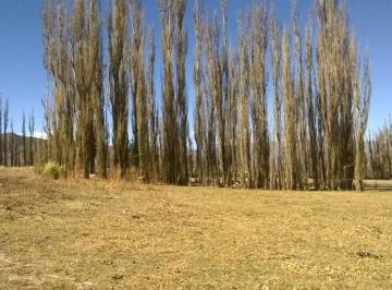 Campo · 75000m² · Excelente Finca 7,5 Ha Venta en Cachi Adentro. C/proyecto Pa