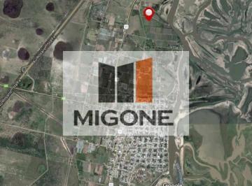 MIG-MIG-2994_2 · Campo | Ruta 11