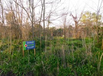 MRE-MRE-1668_2 · Venta de 5 Lotes en Chascomus