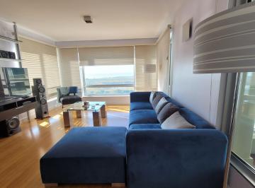 Departamento de 3 ambientes, Puerto Madero · 3 Amb. Vista Excelente Al Río Se Alquila con Muebles.