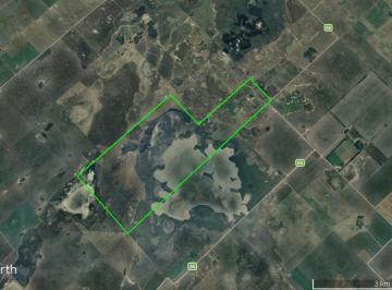 Campo · 592m² · 1 Ambiente · Campo en Venta. Carlos Tejedor, Bs Aires. 592 Ha