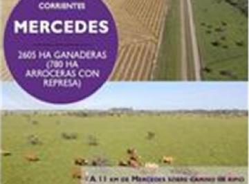 Campo · 2605ha · Propiedades Rurales - Mixto - Mercedes