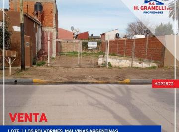 HGP-HGP-2872_2 · Lote | Baroni Al 100