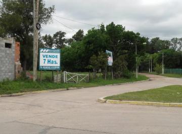 Terreno , Pilar · 7 Has Panamericana
