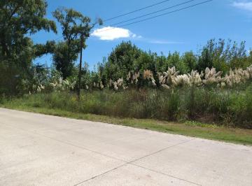 Campo , Pilar · 24 Ha Detras del Parque Industrial de Pilar