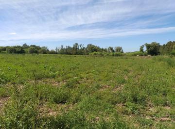 Terreno , Pilar · 24 Ha