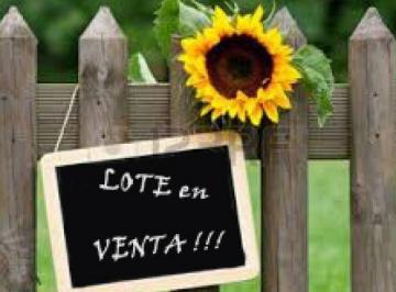 Terreno · 1m² · Lote Ideal Emprendimiento - Macrocentro