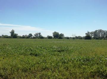 Campo , Pilar · Fraccion de 42 Ha