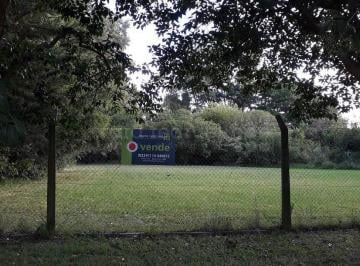 MRE-MRE-1693_2 · Venta Lote Arbolado 3000 m² Arbolado Cerce de Laguna de Chascomus