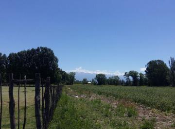 Campo , Tunuyán · Campo en La Primavera - Tunuyán