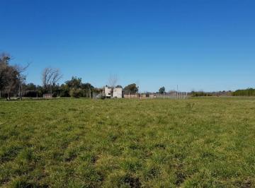 Terreno · 3747m² · Lote de 3750 m² en Cañuelas