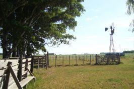 Campo · 150000m²