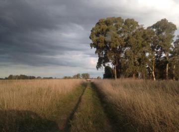 Campo · 200m² · Campo 30ha Apto Para Cualquier Destino