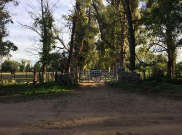 Campo · 960m² · Campo - San Javier