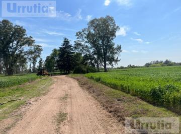 Campo · 1240000m² · Espectacular Fraccion Para Desarrollo Inmobiliario