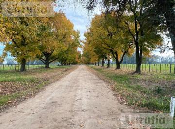 Terreno · 1460000m² · Campo de 146 Ha Ideal Desarrollo Urbanistico