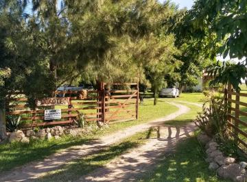 Campo de 3 ambientes, Villa Elisa · 1 Ha Chacra Casa Quinta y Emprendimiento Turístico con Hermoso Parque