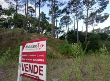 DIT-DT1-4891_2 · Lote. | Poseidon 1