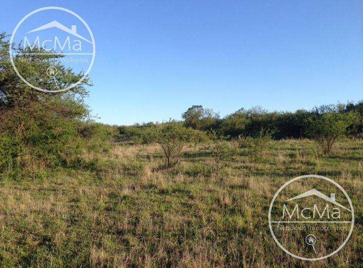 Terreno · 45m²