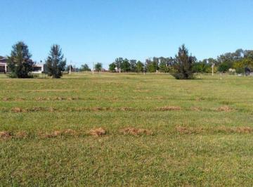 GLE-GLE-317_2 · Lote | Campos de Roca 2 - Brandsen