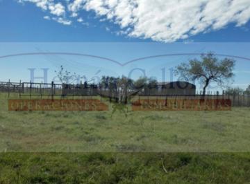Campo · 2550000m² · 1 Ambiente · Campo de 255 Ha en Venta en Pehuajó