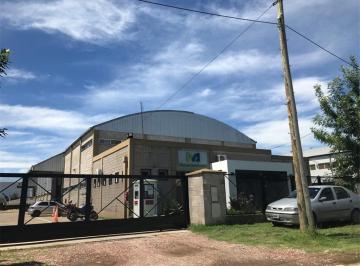 Bodega-Galpón , Almirante Brown · Galpon a Estrenar en Alquiler